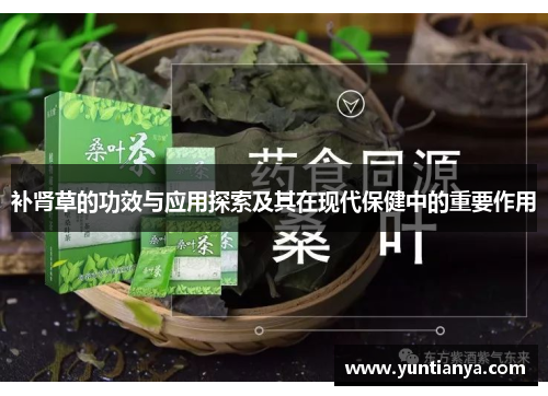 补肾草的功效与应用探索及其在现代保健中的重要作用